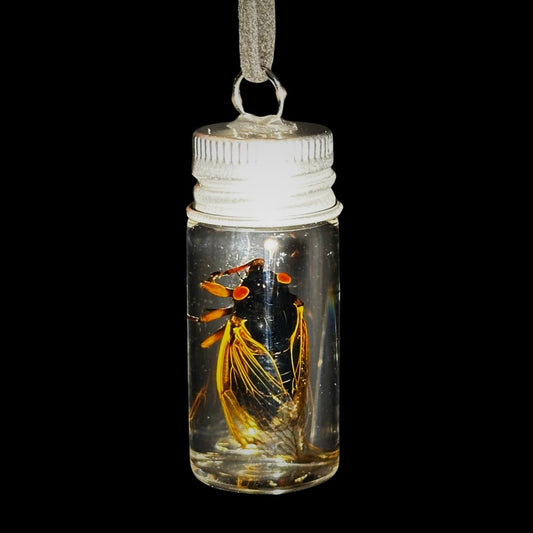 Cicada Necklace